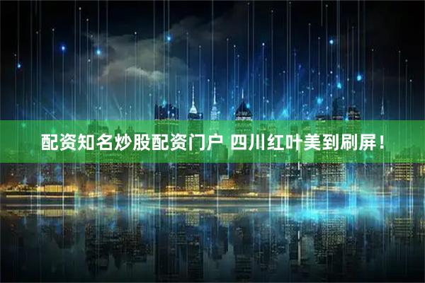 配资知名炒股配资门户 四川红叶美到刷屏！