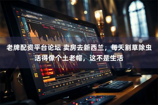 老牌配资平台论坛 卖房去新西兰，每天割草除虫活得像个土老帽，这不是生活